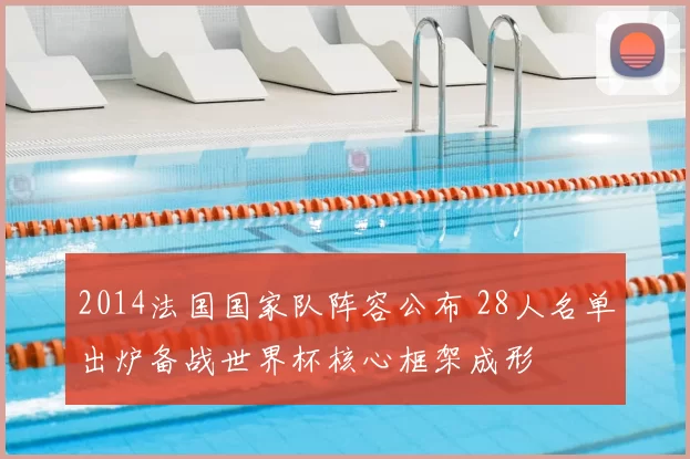 2014法国国家队阵容公布 28人名单出炉备战世界杯核心框架成形