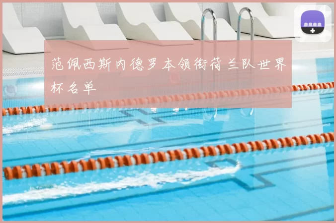 范佩西斯内德罗本领衔荷兰队世界杯名单