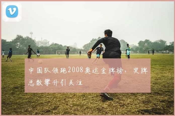 中国队领跑2008奥运金牌榜，奖牌总数攀升引关注