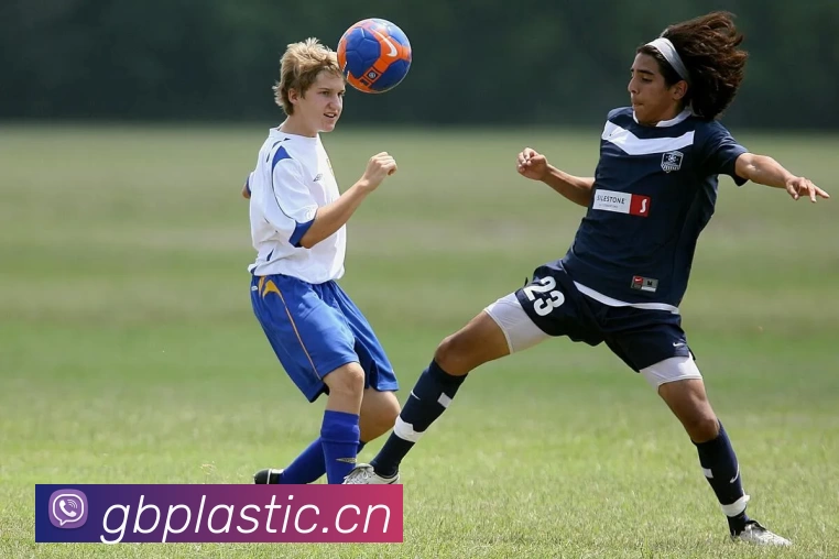 俄罗斯世界杯中国官网平台生态图